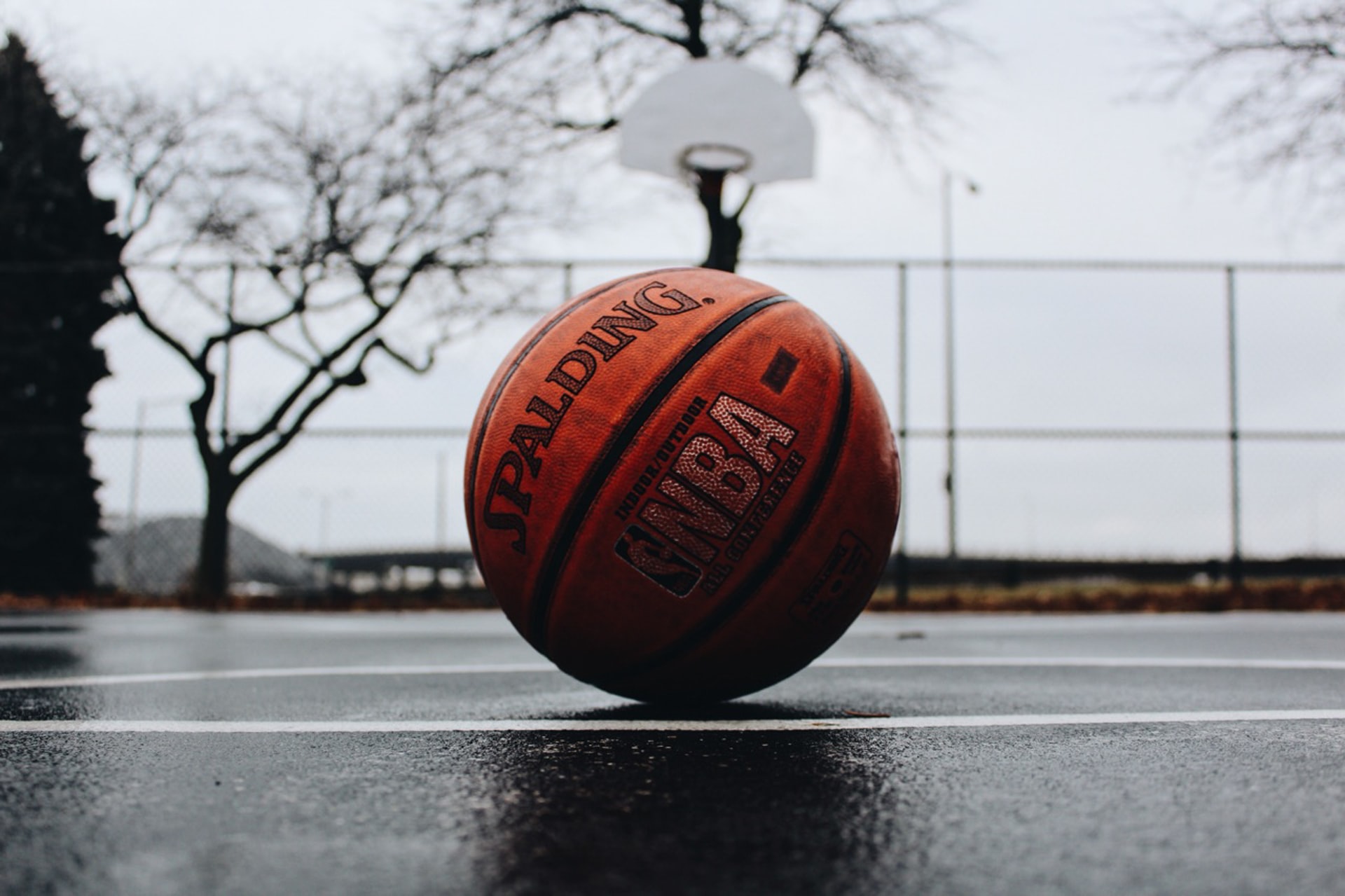 Basketball Court