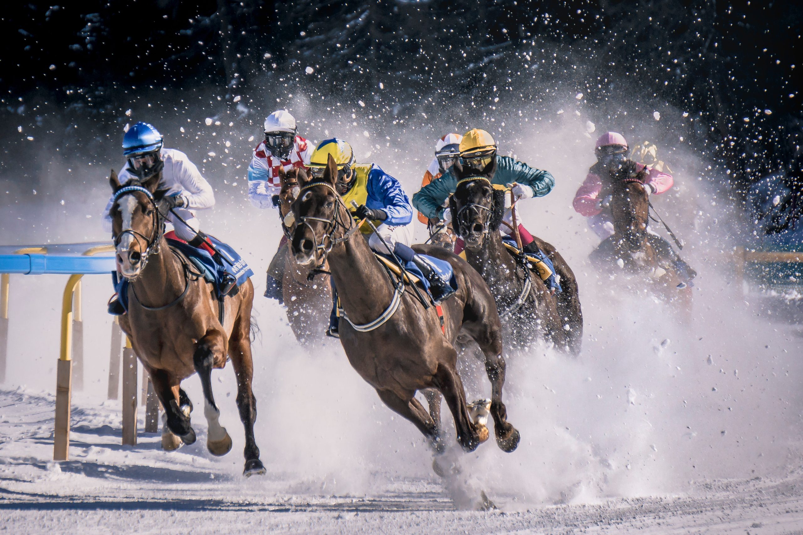 Horse Racing Betting on a Budget: Maximizing Profits with Small Bankrolls