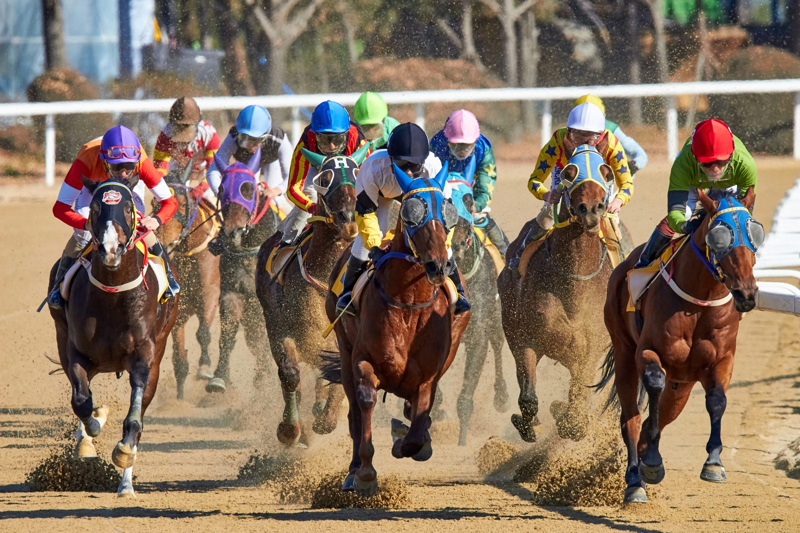 Understanding PU (Pulled Up) in Horse Racing