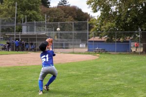 Is Softball Harder Than Baseball? Explained - Betmok Blog